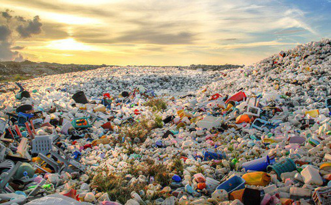 Rác thải nhựa tàn phá thiên nhiên như thế nào?